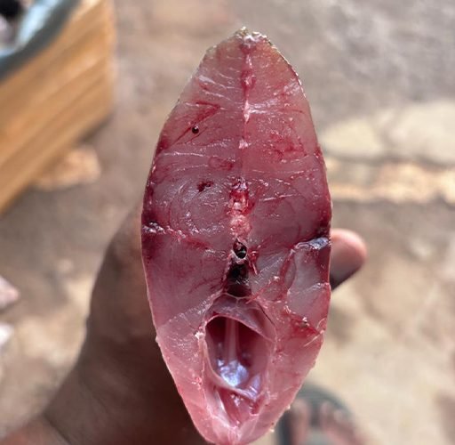 Fish-seafoods-2