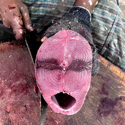 Tuna சூரை மீன்